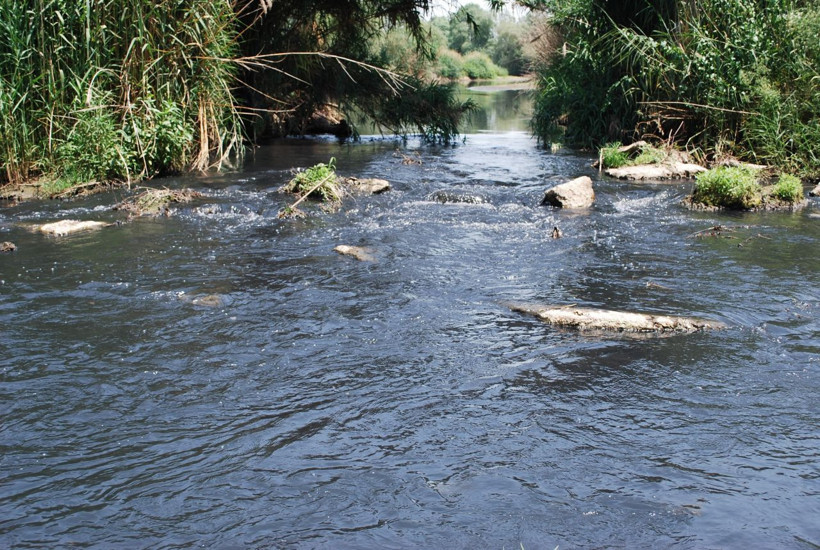 Ege'nin can damarından zehir akıyor - Resim: 2