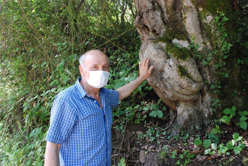 Bartın'da ağacın gövdesinde oluşan el figürü görenleri şaşırtıyor - Resim: 3