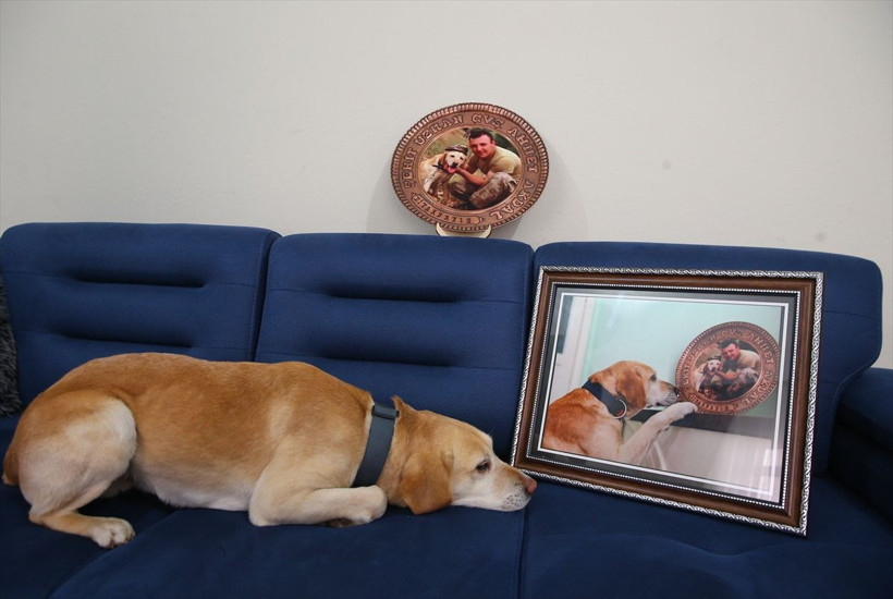Şehit olurken yanındaydı yılın fotoğrafı seçildi 'oğullarının emaneti Atmaca' gururlandırdı - Resim: 2