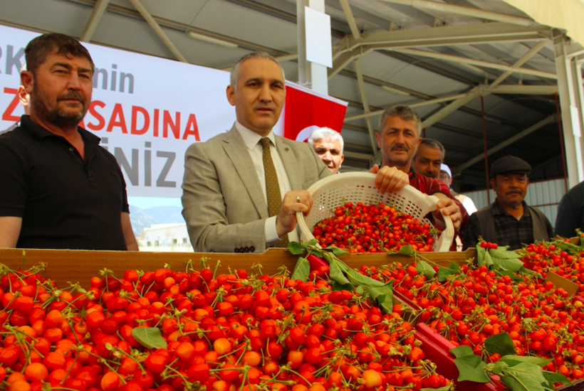 İlk kirazın kilosu 750 liraya satıldı 200 liraya düşmesi bekleniyor - Resim: 4