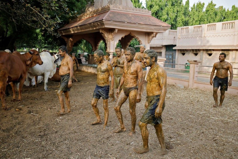 Hindistan’da corona virüse karşı vücutlarına inek dışkısı: Doktorlar bile buraya geliyor - Resim: 3