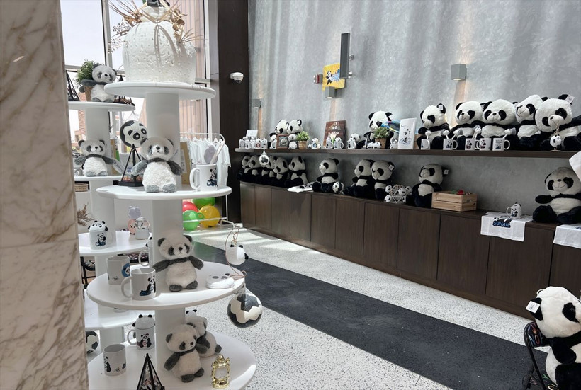 Ortadoğu'da bir ilk! Katar'ın sevimli pandaları! - Resim: 2