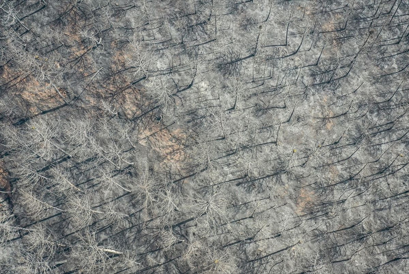 Bilecik'te orman yangınında zarar gören alanlar dronla görüntülendi - Resim: 14