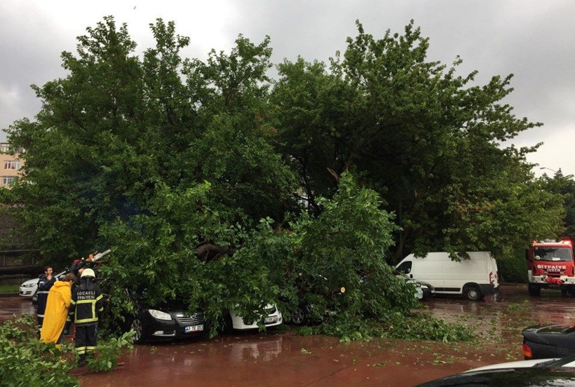 Kocaeli'de sağanak yağmur hayatı felç etti! Araçların üzerine ağaç devrildi - Resim: 1