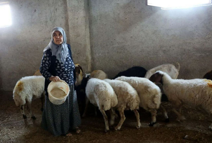 Gaziantep'te 'yapamazsın' diyenlere inat başardı! 3 taneyle başladı şimdi herkes onu konuşuyor - Resim: 1