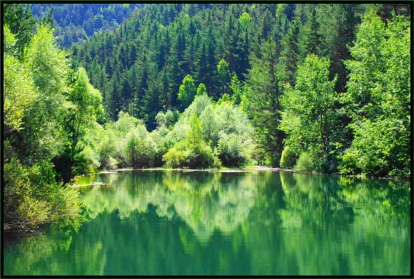 Onlar cennetle müjdelendi! En çok sadaka veren... - Resim: 2