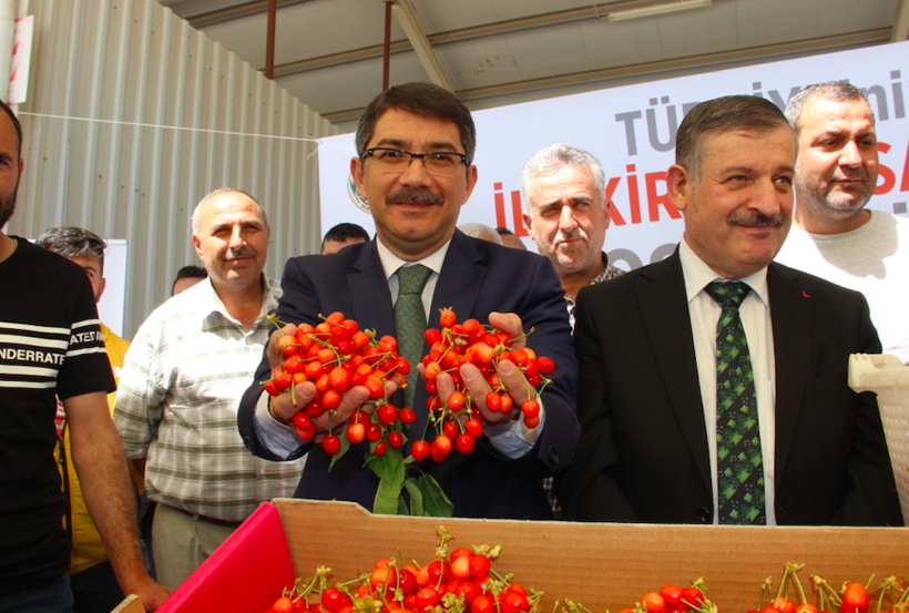 İlk kirazın kilosu 750 liraya satıldı 200 liraya düşmesi bekleniyor - Resim: 2