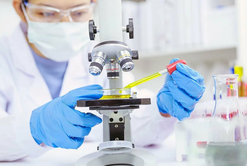 Bilim insanlarından heyecanlandıran çalışma! Ölüyü dirilttiler - Resim: 4