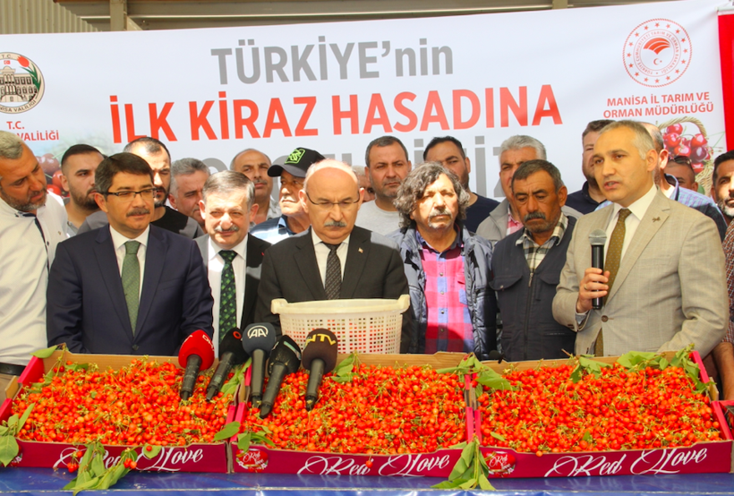 İlk kirazın kilosu 750 liraya satıldı 200 liraya düşmesi bekleniyor - Resim: 3