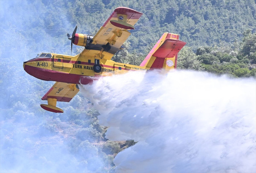 İzmir'de alev alan otomobil orman yangınına yol açtı! İzmir-Çeşme Otoyolu ulaşıma kapatıldı - Resim: 4