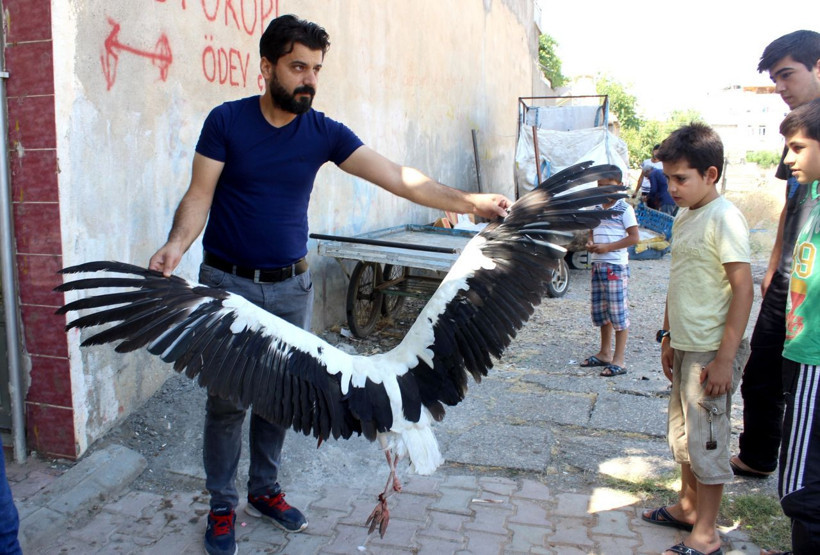 Mahalleli ayağı kopan leyleğin yardımına koştu - Resim: 1