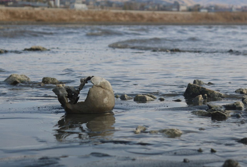 Van Gölü'nde sular çekildi korkunç manzara ortaya çıktı - Resim: 3