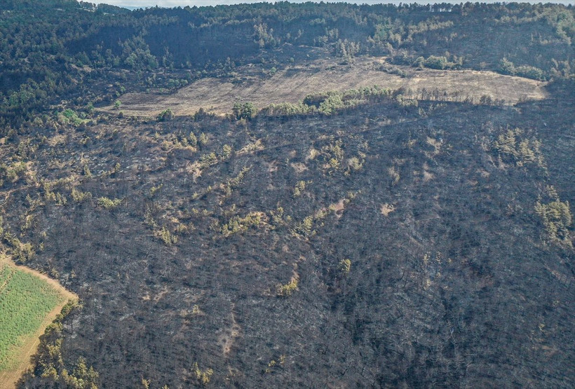 Bilecik'te orman yangınında zarar gören alanlar dronla görüntülendi - Resim: 6