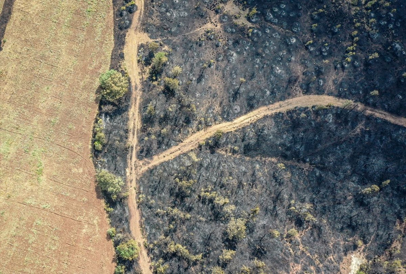 Bilecik'te orman yangınında zarar gören alanlar dronla görüntülendi - Resim: 5