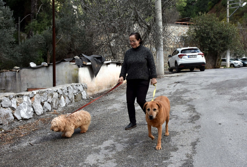  Sokak hayvanlarının doktor annesi - Resim: 1