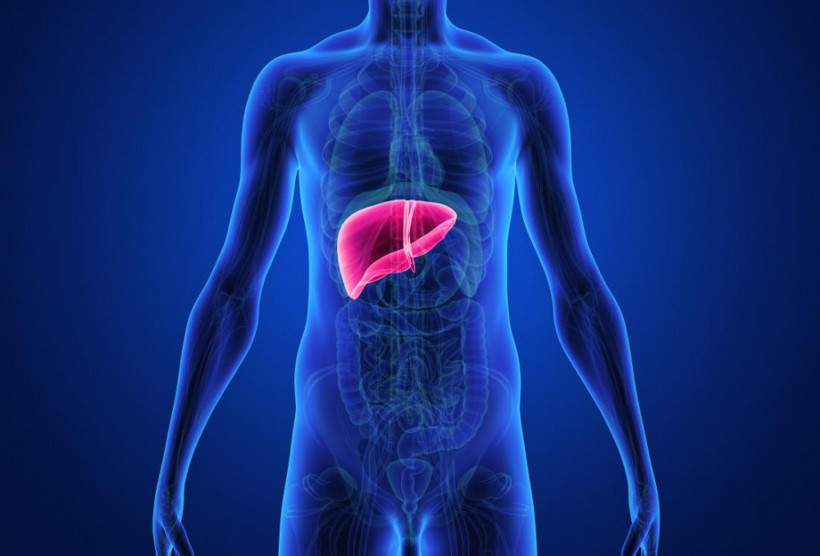 Karaciğer yağlanması çağın hastalığı olabilir - Resim: 2