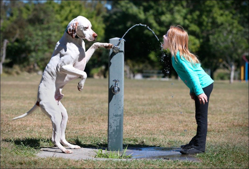 Günün en ilginçleri - Resim: 4