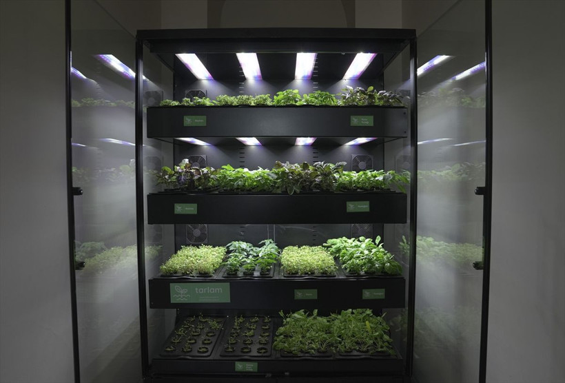 Hayalindeki topraksız tarım makinelerini üreten girişimcinin hedefi ihracat - Resim: 3