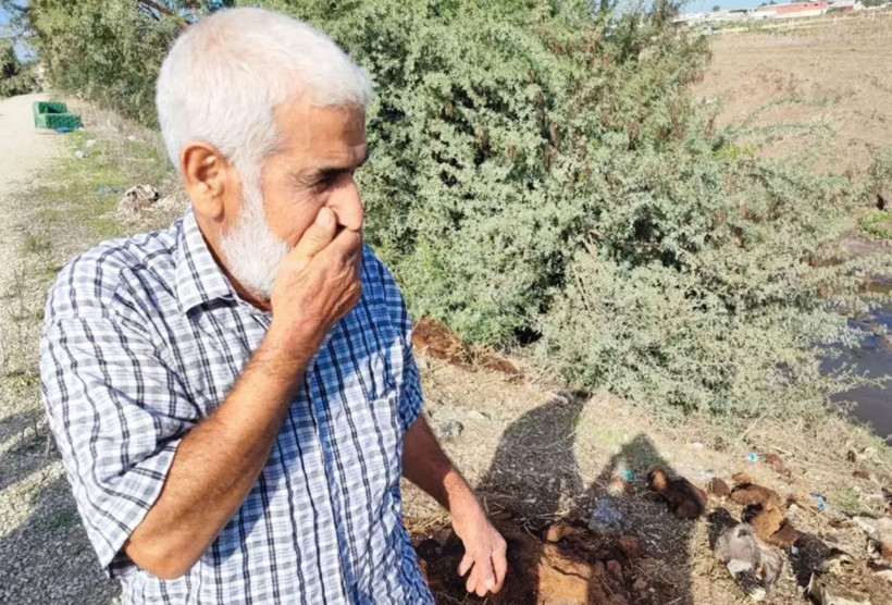 Adana'daki bu görüntüler yuh çektirdi! Vatandaş isyanda "Biz bunları mı yedik" - Resim: 2