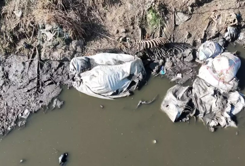 Adana'daki bu görüntüler yuh çektirdi! Vatandaş isyanda "Biz bunları mı yedik" - Resim: 4