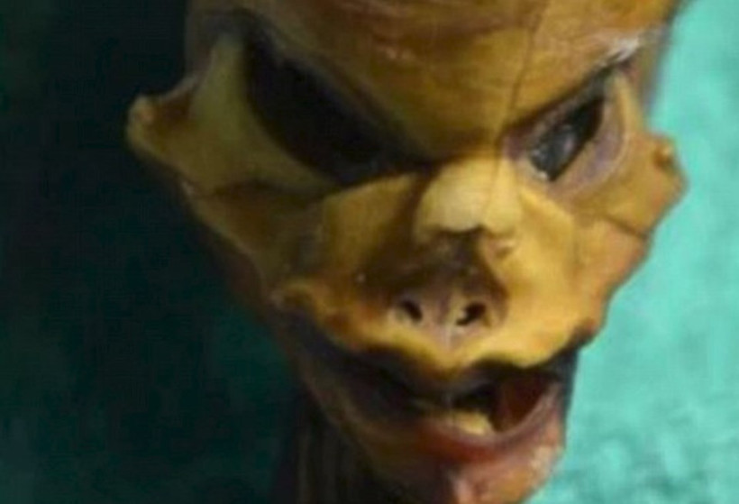 Gizemli minik mumyanın sırrı çözüldü - Resim: 4