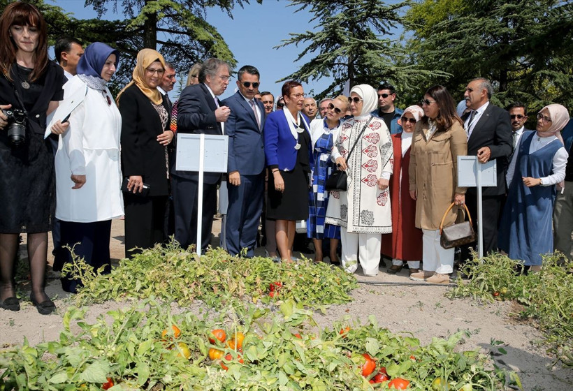 Emine Erdoğan "Ata Tohumu Projesi" tanıtım toplantısına katıldı sebzeleri kokladı - Resim: 2