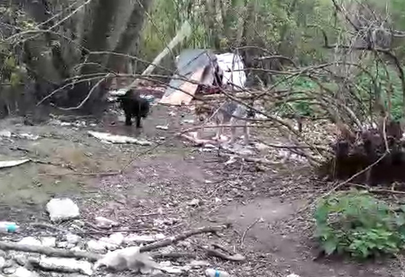 Yaşananları gözyaşları içinde anlattı: 'Bunlar insanlık suçu!' - Resim: 1