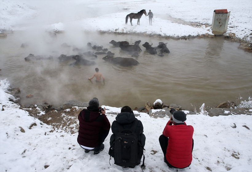 Eksi 20 derecede 40 dereceki suya sokup temizliyorlar fotoğraf tutkunları Bitlis'e koştu - Resim: 4
