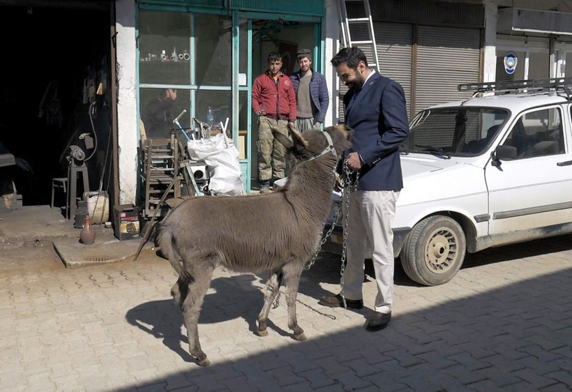 DSP Çamlıyayla adayı Alp Erdem sıpa ile ilçeyi dolaşıyor - Resim: 4