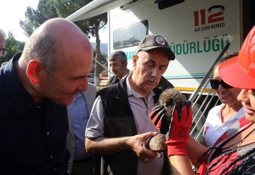 Marmaris orman yangını devam ediyor! İlk kez TSK envanterine giren helikopterler görevde - Resim: 4