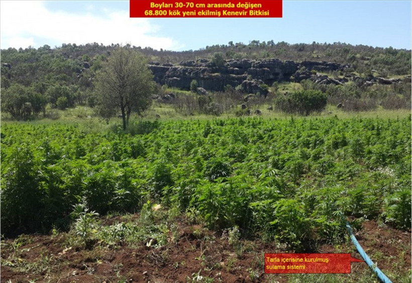 PKK'ya büyük darbe! Damla sulama sistemi kurmuşlar... - Resim: 4