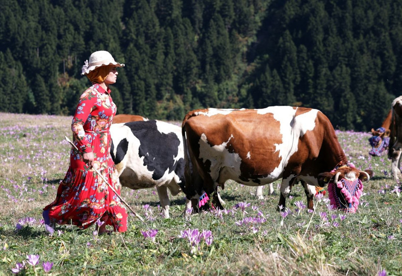 Gelin gibi süslendiler, artık geri dönüyorlar! - Resim: 4