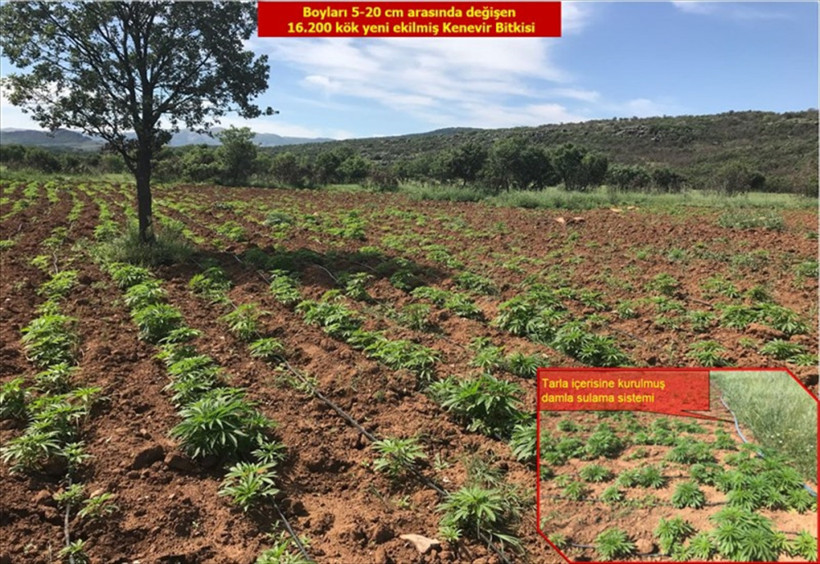 PKK'ya büyük darbe! Damla sulama sistemi kurmuşlar... - Resim: 3