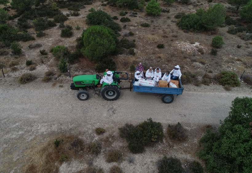 Makam araçlarını bıraktı köyde işe gitmek için traktör kullanıyor - Resim: 4