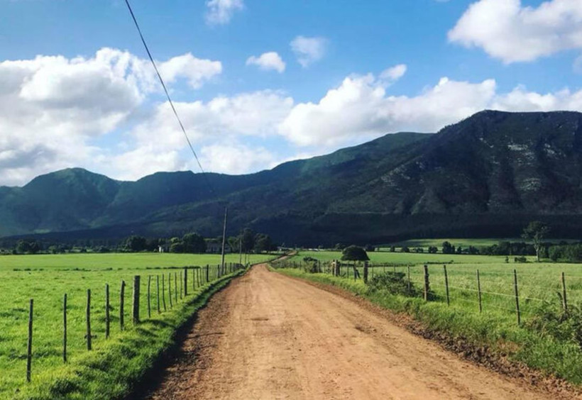Otelde nişanlı çiftin sonları korkunç şekilde bitti! Odaya giren arkadaşları şok oldu: Çırılçıplak... - Resim: 2