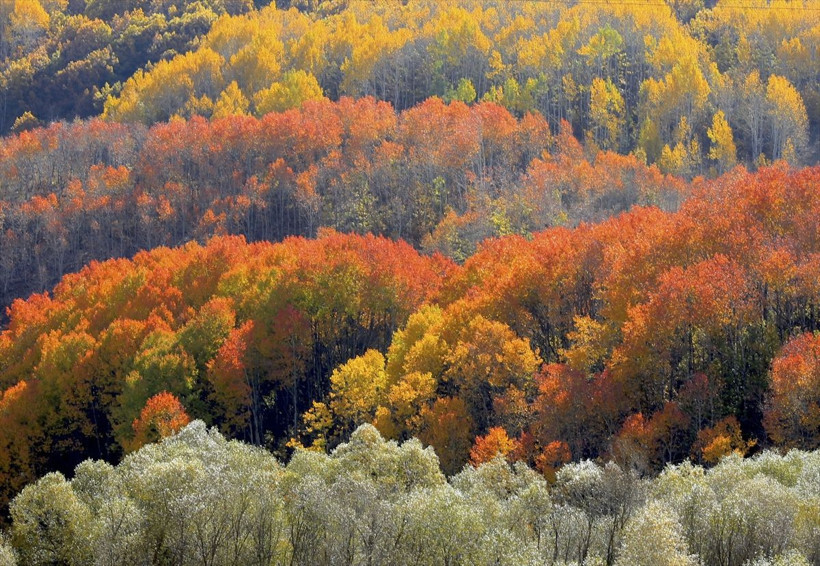 AA muhabiri Abdulkadir Nişancı'nın çektiği fotoğraflara bakın - Resim: 2