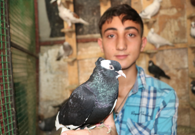 Şanlıurfa'da tanesi 600 TL! İki gözü de farklı renkte olan güvercin Van kedisine rakip - Resim: 2