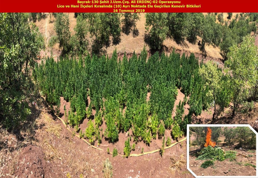 Diyarbakır’da terörün finans kaynağına büyük darbe! 15 milyon kök Hint keneviri 9 ton esrar - Resim: 3