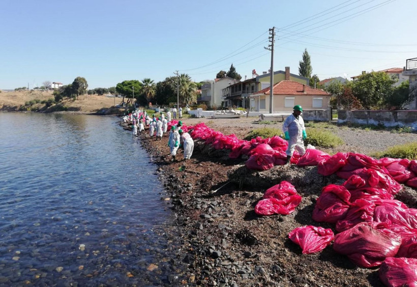 Mahalleli şikayet etti!  144 bin TL ceza kesildi - Resim: 4