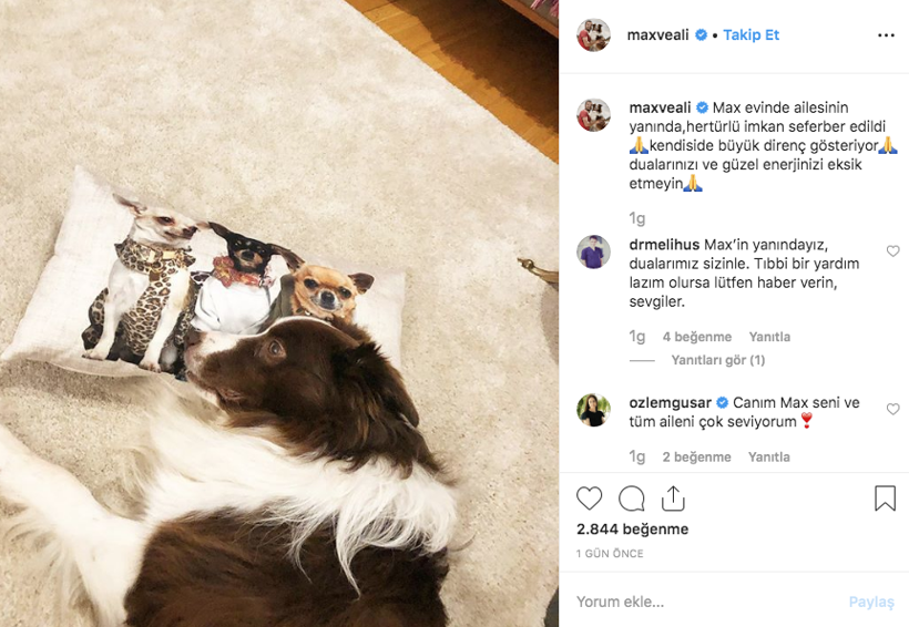 Yetenek Sizsiniz şampiyonu Max'ten acı haber geldi sahibi Ali Yeşilırmak duyurdu - Resim: 4