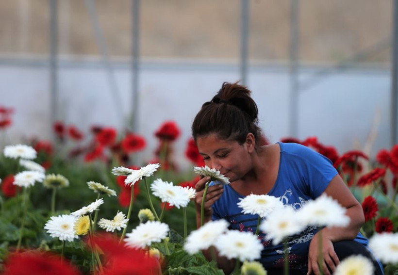 Tokat'ta sınıf öğretmeni hobi olarak başladı şimdi talebe yetişemiyor - Resim: 4