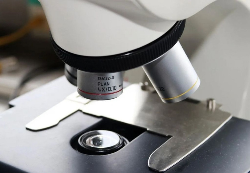 Yeni kabus Langya/LayV virüsünün belirtileri belli oldu - Resim: 4