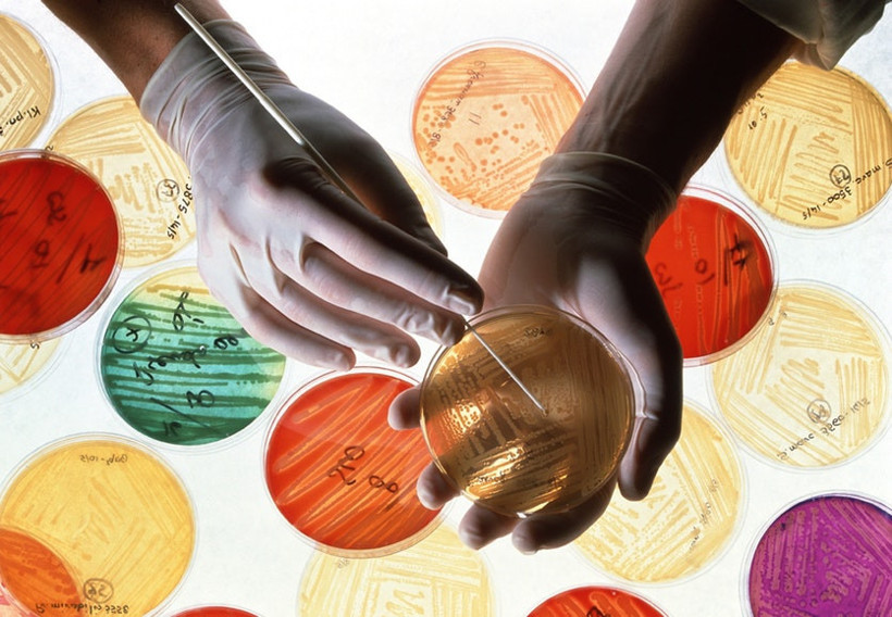 OECD açıkladı: Türkler büyük risk altında - Resim: 3