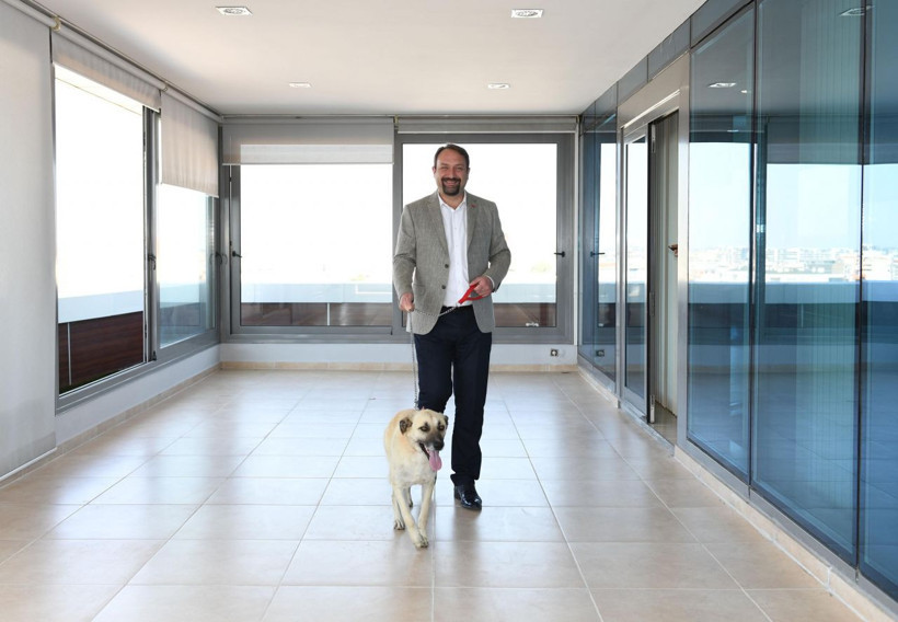 İzmir Çiğli Belediyesi'nde görülmemiş uygulama! Evcil hayvanlarıya işe geliyorlar - Resim: 4