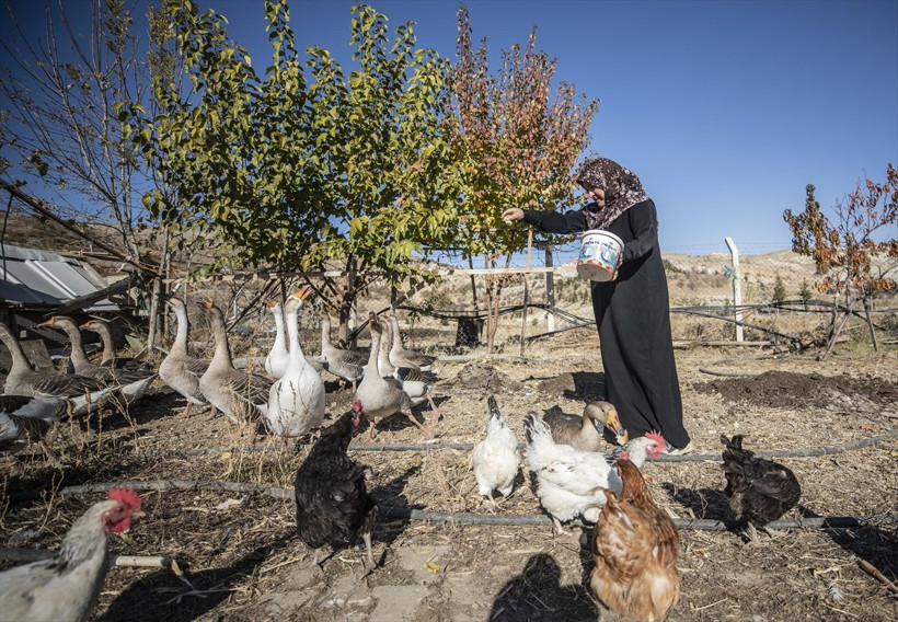 Ankara'da lüks evini bıraktı köye yerleşti marketin ve hastanenin yolunu unuttu - Resim: 3
