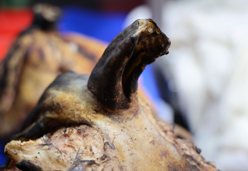 Adanalıların yeni gözdesi: ‘Koyun kulağı’ - Resim: 2