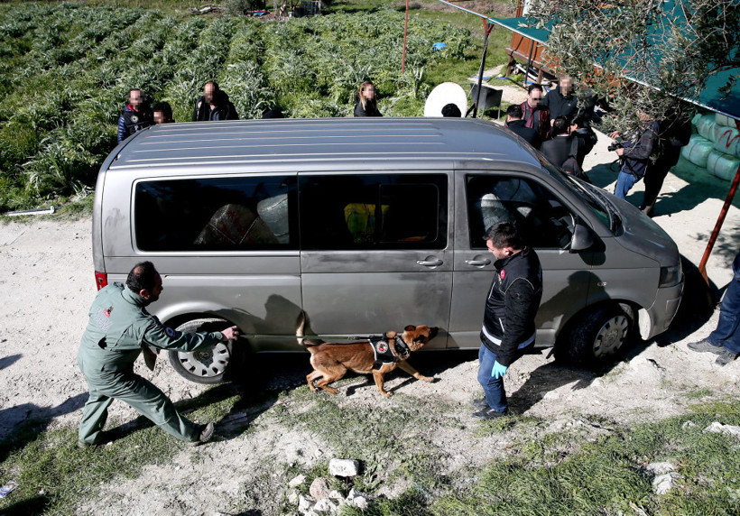 1,5 ton genetiği değiştirilmiş esrar ele geçirildi - Resim: 3