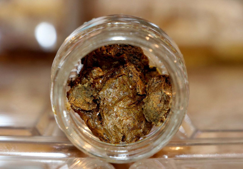 Koronovirüs sonrası herkes peşine düştü satışlar patladı - Resim: 1