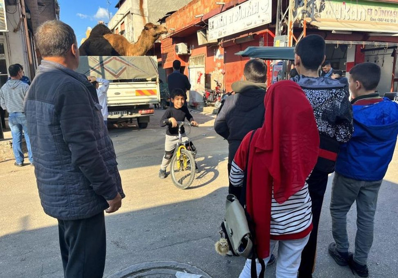 Adana'da deve kesilmekten son anda kurtarıldı - Resim: 3