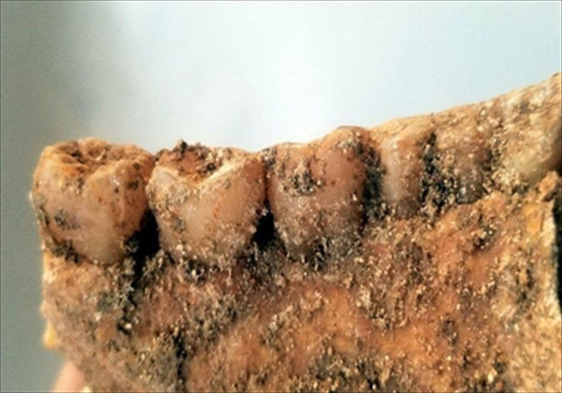 İran'da koronalı şahsın cesedi defnedilirken bulundu! Tam 2300 yıllık - Resim: 1